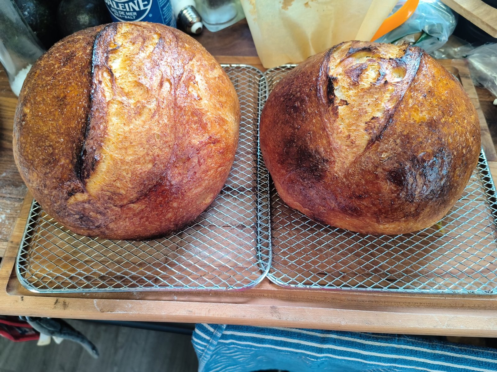 Fresh Homemade Sourdough Bread