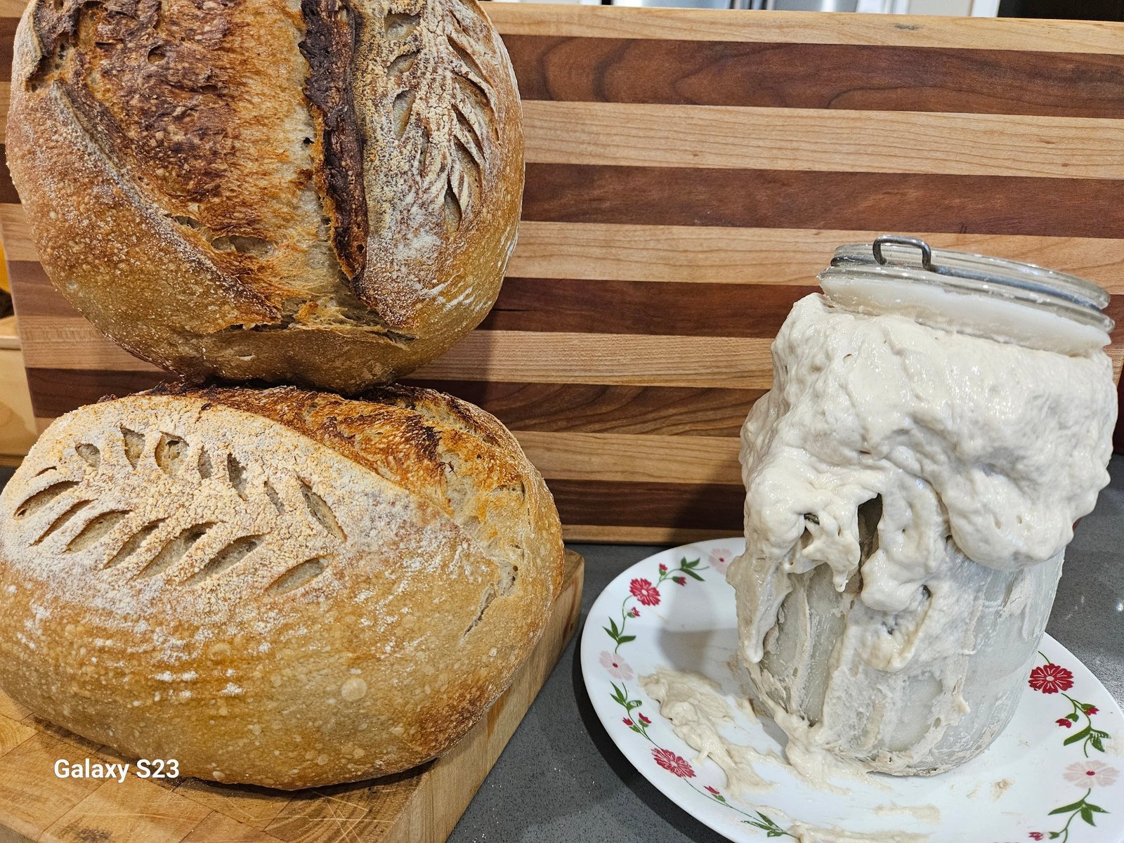 Sao Miguel Farms Sourdough Breads